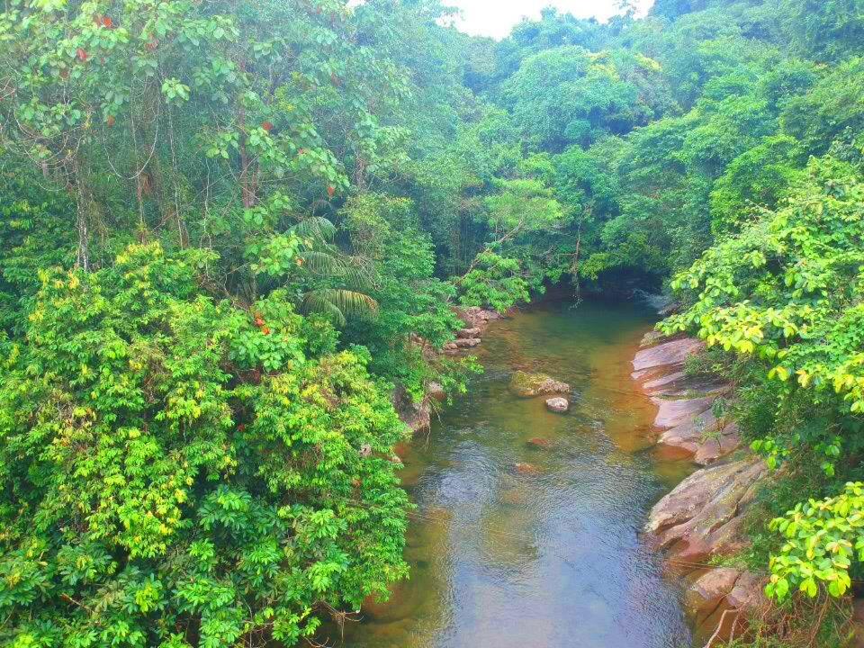 Eco-Flats Cachoeira Azul 帕拉蒂 外观 照片